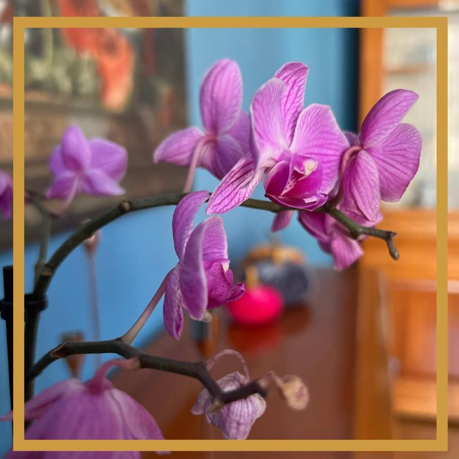 La Casa Di Efra Apartment Roma Ngoại thất bức ảnh
